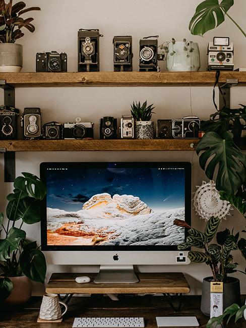 bureau avec appareil photo et plantes