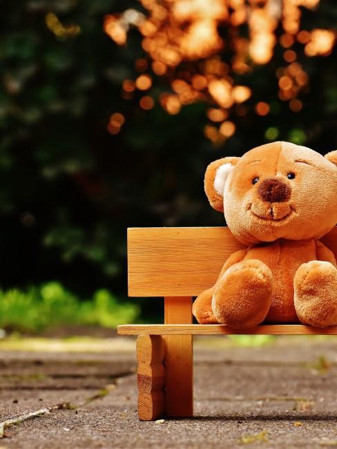 jouet ourson peluche sur banc