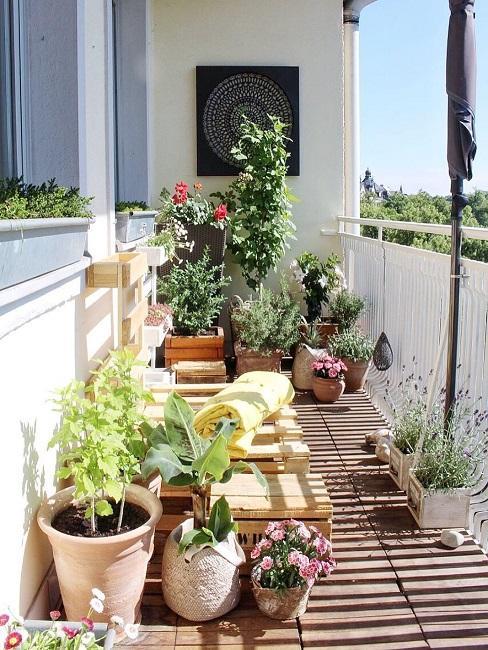 meubles de jardin en palette sur balcon avec plantes