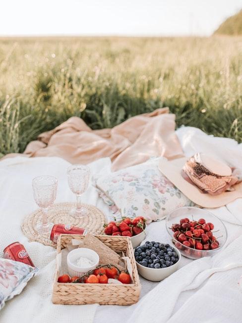 pique-nique romantique avec fruits et champagne