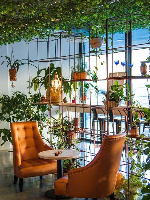 café avec jardin vertical décoratif et fauteuil en cuir