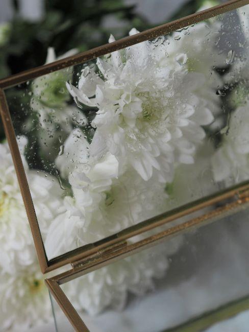 boite en verre, fleurs blanches