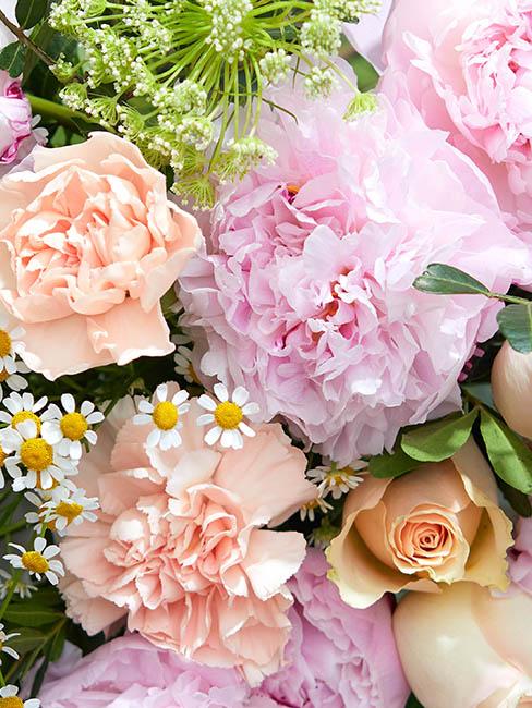 fleurs-pivoines
