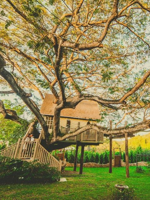 grande cabane dans un jardin