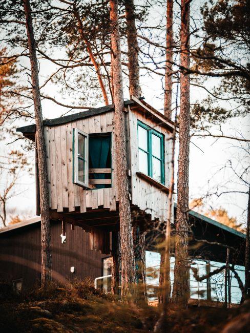 Cabane vintage dans un arbre avec fenêtres vertes