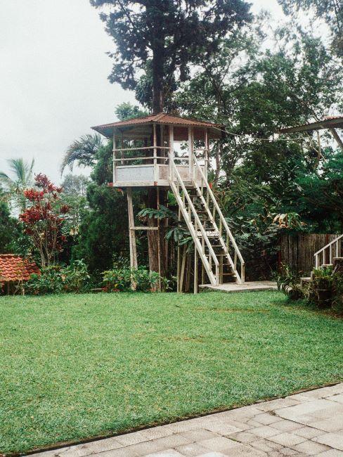cabane dans jardin avec escalier blanc