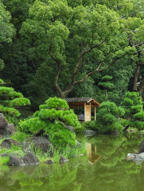 abri de jardin zen japonais