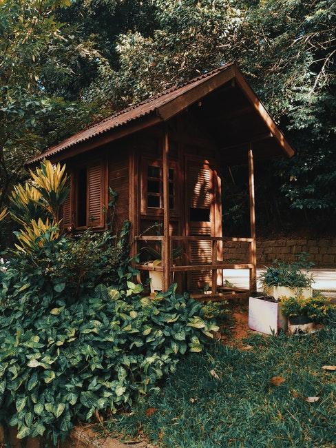 abri de jardin rustique en bois