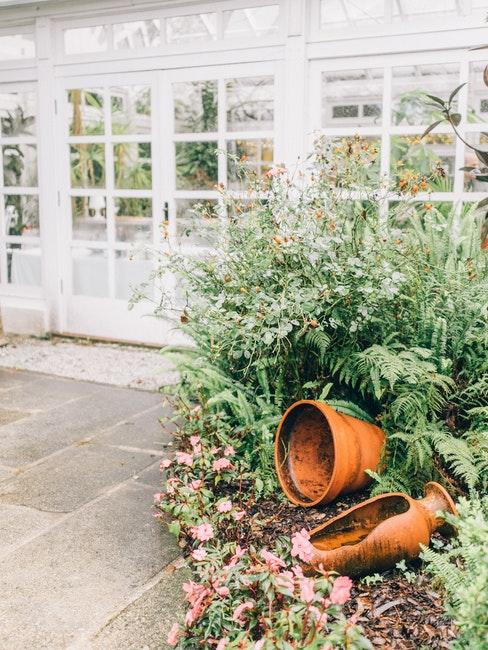 pots de jardin, serre blanche vintage