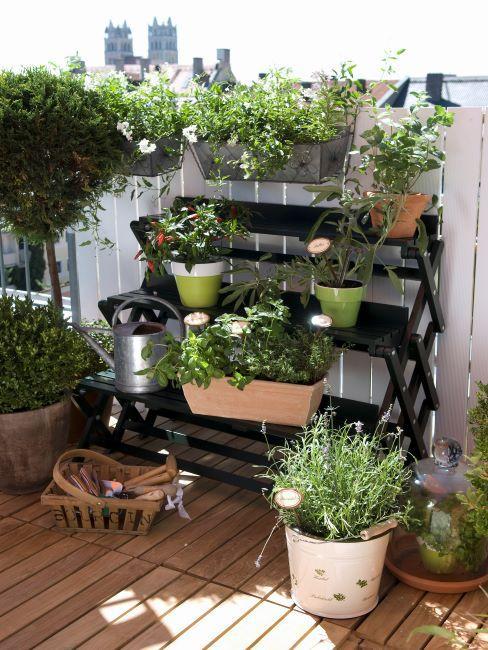 balcon-jardin-aromatique