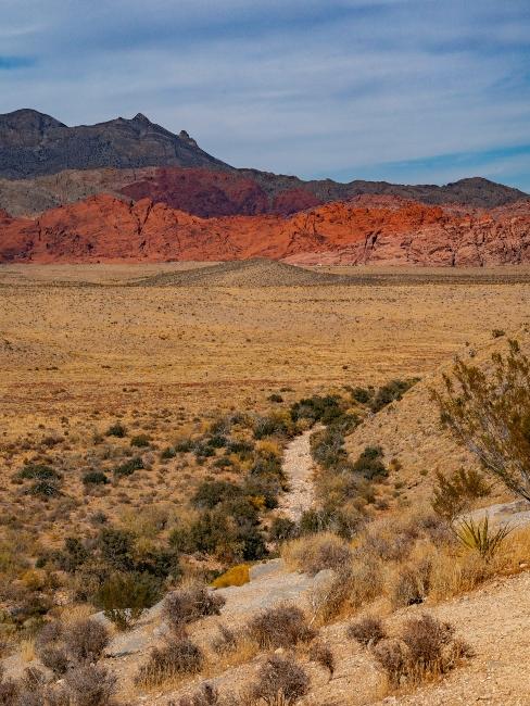 Désert du Nevada