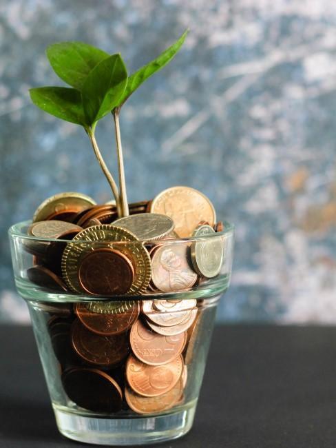 Faire des économies plante à sous