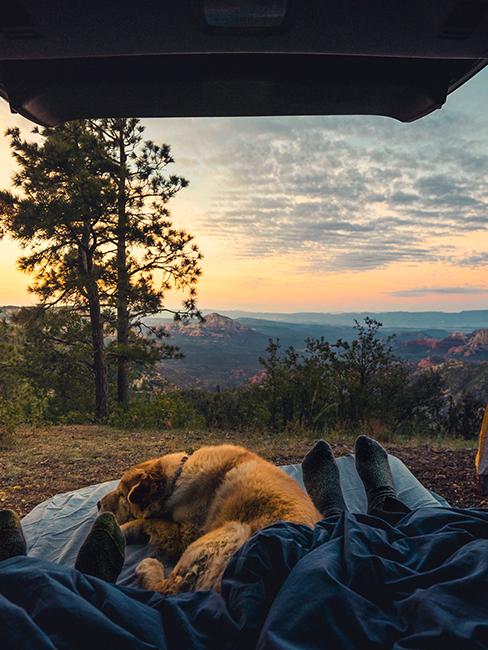 vue de l'intérieur d'un van sur un coucher de soleil