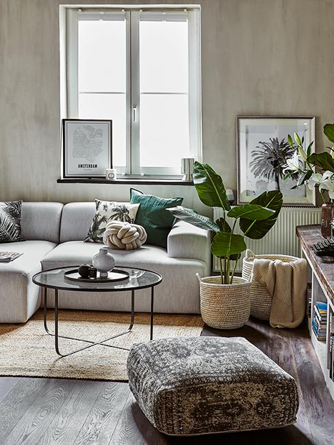 salon moderne avec plantes
