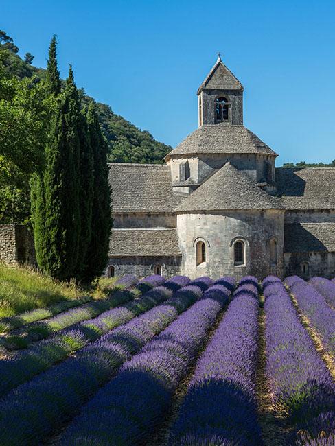 abbaye-senanque