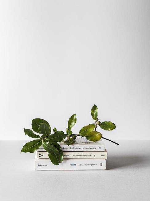 livres avec plantes