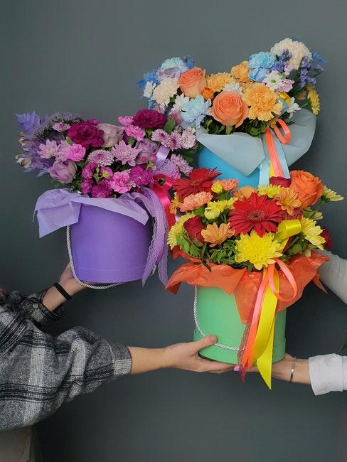 trois bouquets de fleurs fleuris de couleurs différentes