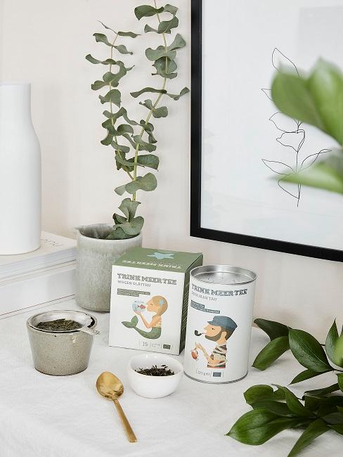cache pot DIY