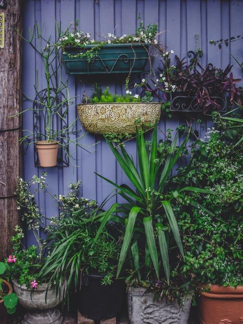 mur végétal DIY sur boiserie