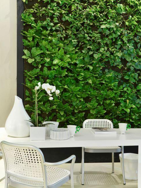 bureau avec table et chaises blanches, vase blanc, orchidée et mur végétal vert