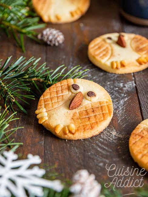 Biscuit Hibou Noel