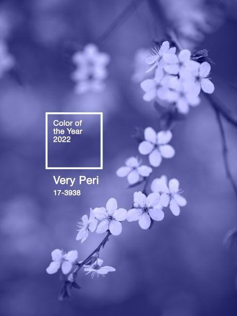 pantone couleur de l'année 2022 very peri