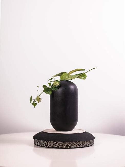 composition ikebana minimaliste dans un vase noir