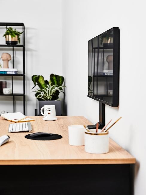 petites plantes de bureau moderne