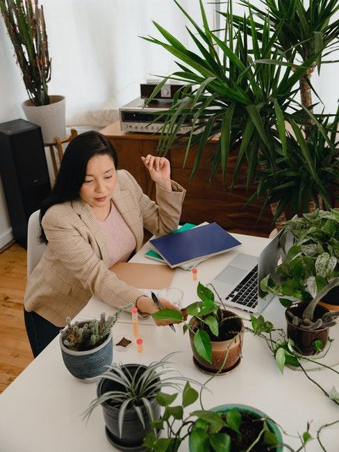 bureau à domicile avec beaucoup de plantes vertes