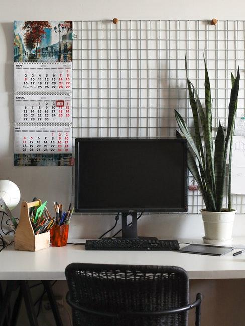 plante de bureau moderne