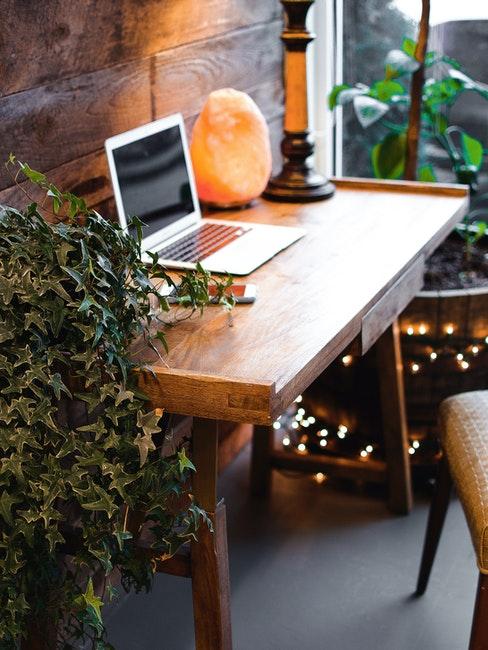 bureau scandinave en bois avec lierre sir le côté