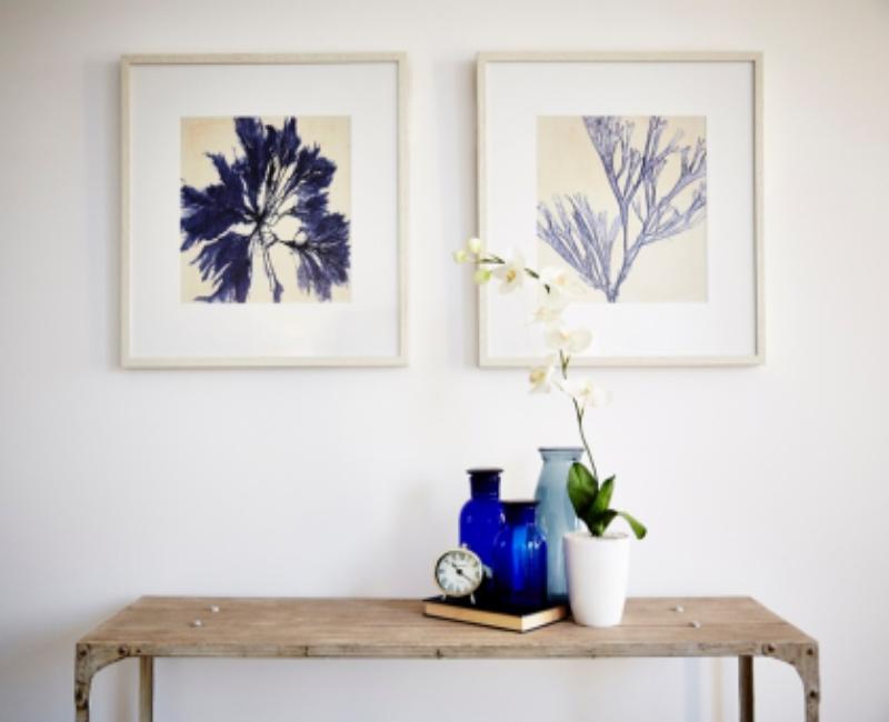 meuble pour orchidée dans un intérieur épuré table bois brut tableaux vases blanc bleu