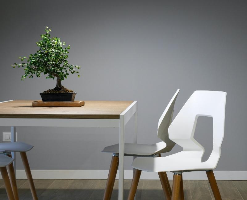 salle à manger zen avec bonsai