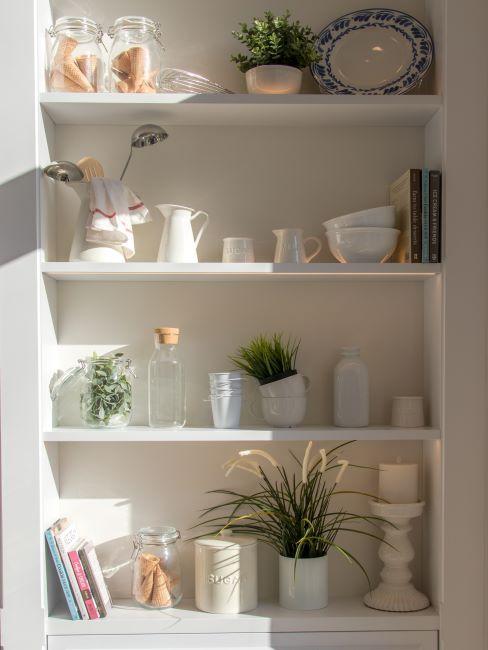 étagère décorée des plantes comestibles et de vaisselle