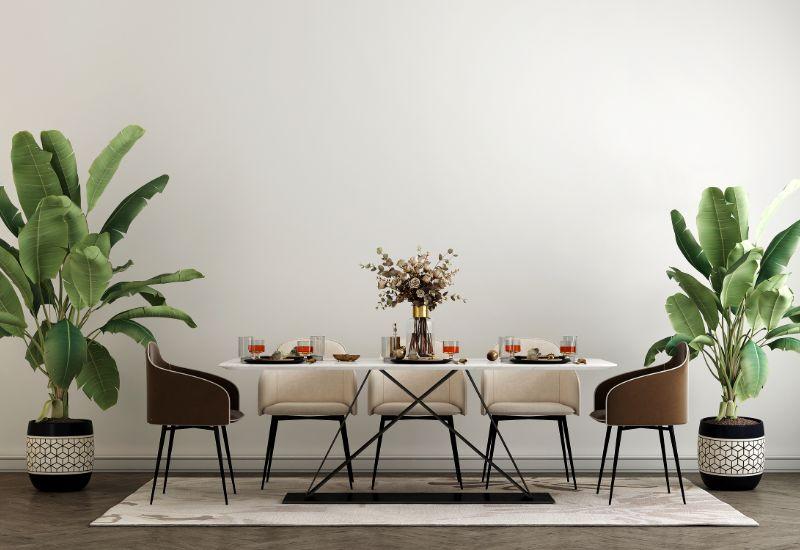 salle à manger blanc avec deux bananiers en pot