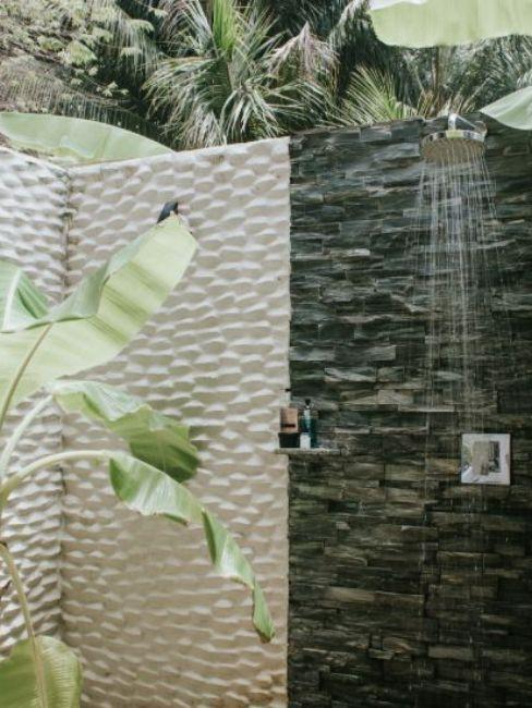Deux bananiers douche extérieur