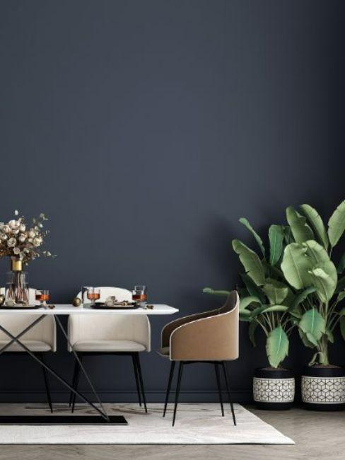 salle à manger verte avec deux petits bananiers en pot