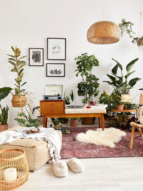 salon avec accumulation de plantes exotiques et asiatiques, salon style berbère