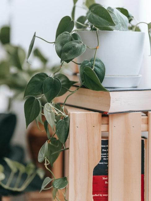 fabriquer une étagère murale originale avec des caisses en bois