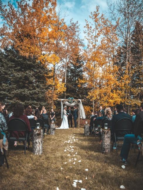 mariage au cœur de la forêt