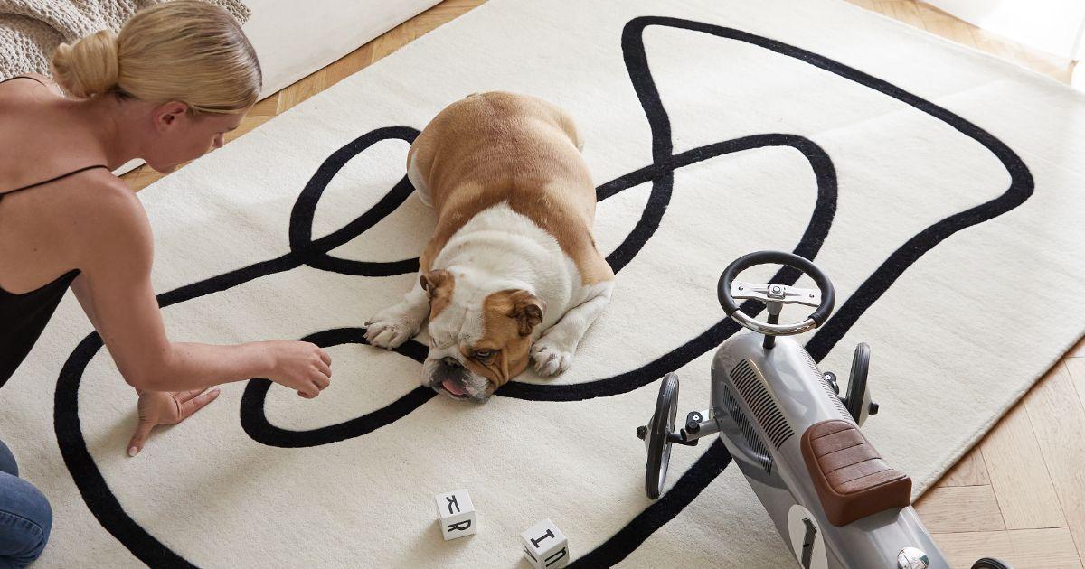 chien sur tapis clair