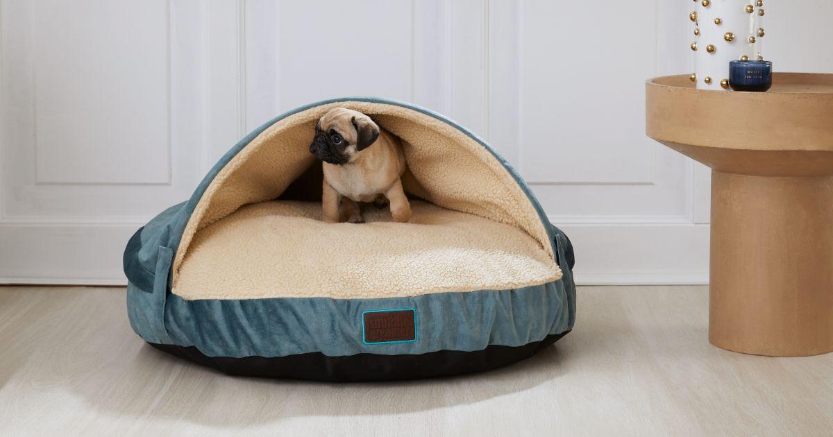 chiot assis dans son panier