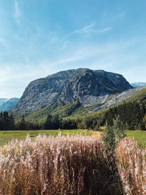 road trip norvege - parc national de Jostedalsbreen
