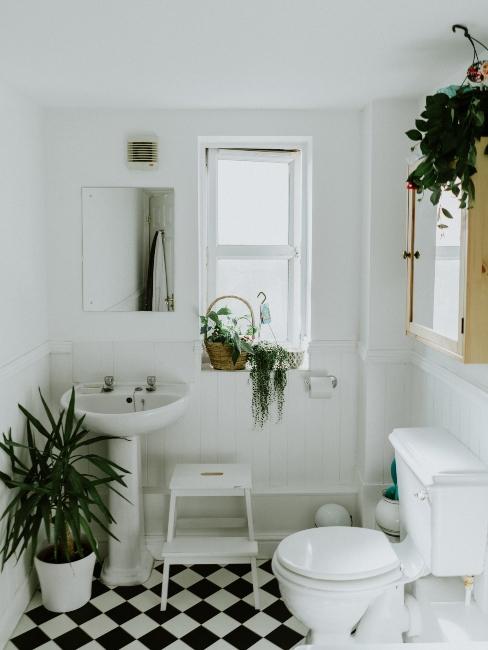 toilettes blancs avec carrelage blanc sur les murs et plantes vertes