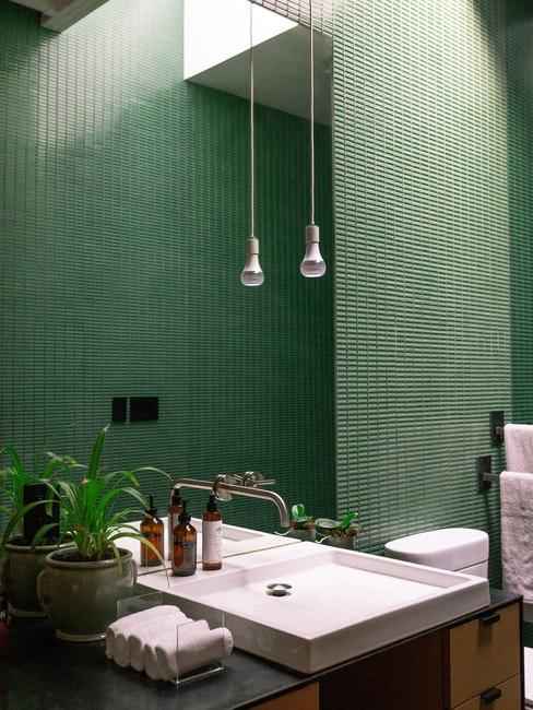toilettes avec carrelage sur les murs de couleur vert