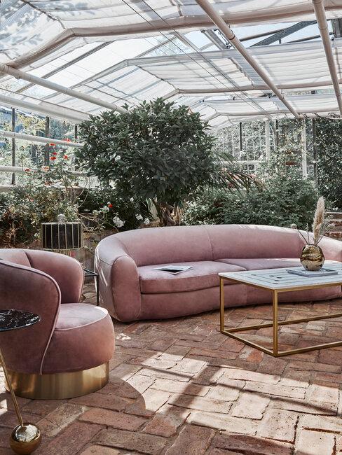 canapé vieux rose dans une verrière remplie de plantes