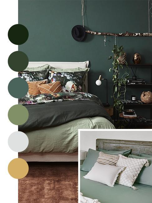 palette de couleurs dans les tons vert pour une chambre ave un mur vert sapin