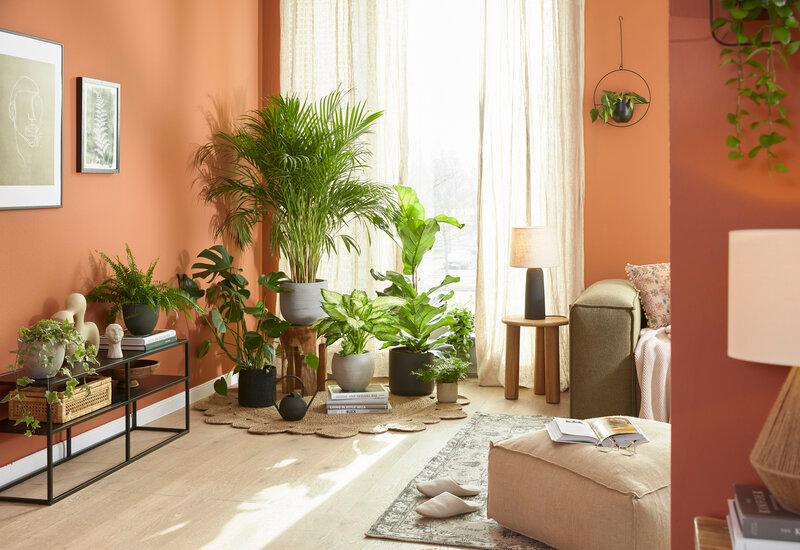 salon couleur terracotta avec une décoration végétale