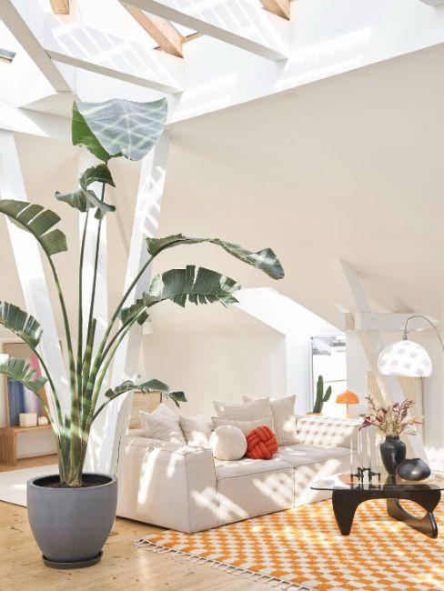 Déco tendance 2023, style évasion, déco style voyage, haut plafond, lumière, bananier d'intérieur, canapé blanc