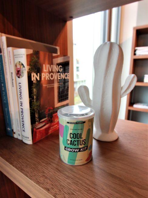 cadeau moins 10 euros, cactus en boite